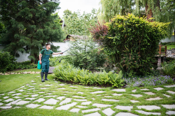 Reliable Esko, MN Pest Control Solutions