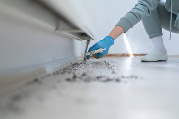 Wildlife Control Services in Esko, MN