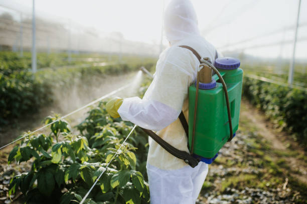 Best Best Pest Control Companies  in Esko, MN